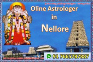 online astrologer in Nellore