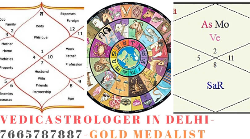 Vedic Astrologer in Delhi